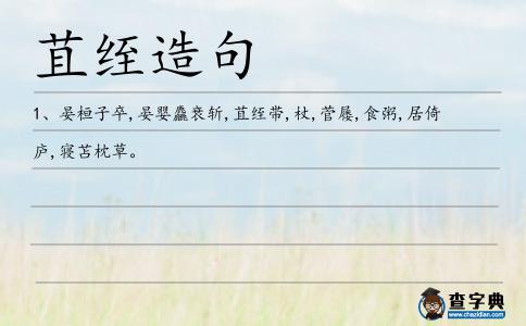 苴绖造句