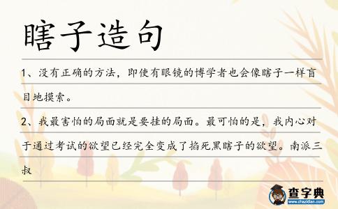 瞎子造句