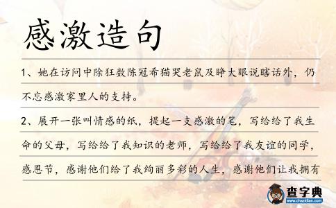 感激造句