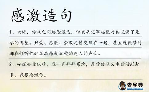 感激造句