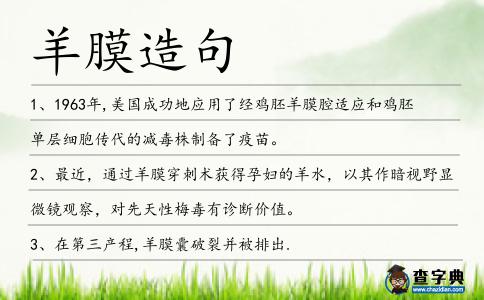 羊膜造句