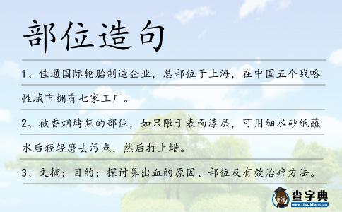 部位造句