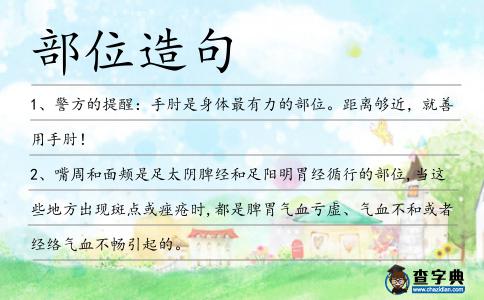 部位造句