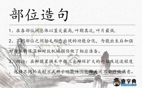 部位造句