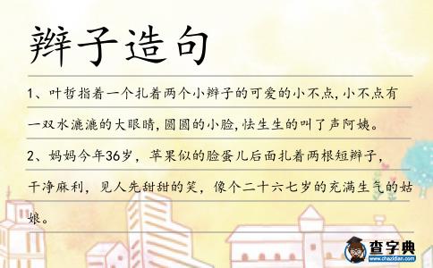 辮子造句