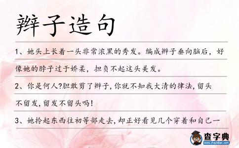 辮子造句
