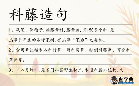 科藤造句