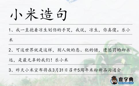小米造句