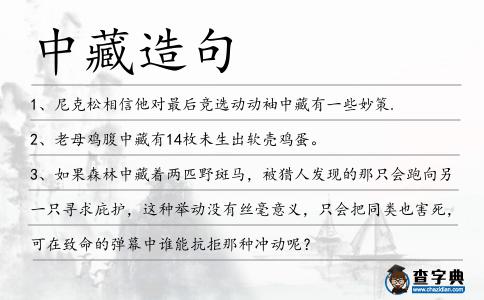 中藏造句