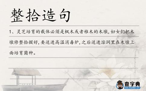 整拾造句