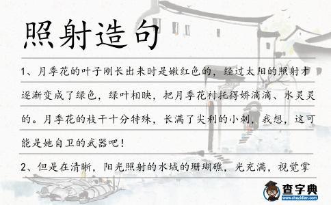 照射造句