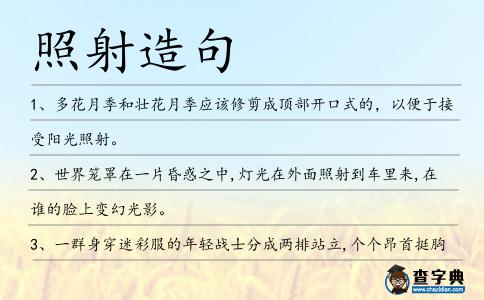 照射造句