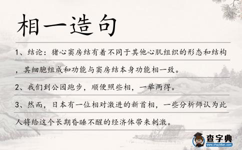 相一造句