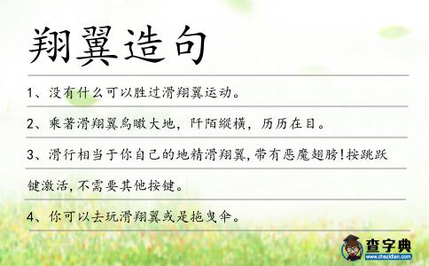 翔翼造句