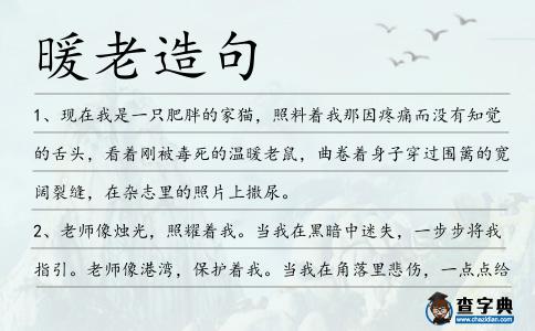 暖老造句