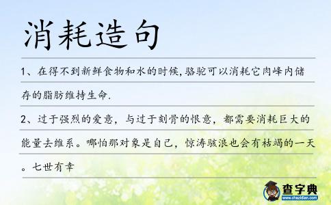 消耗造句