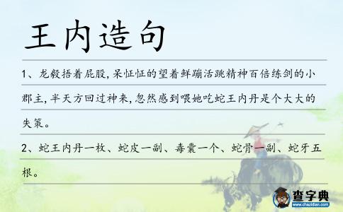王內造句