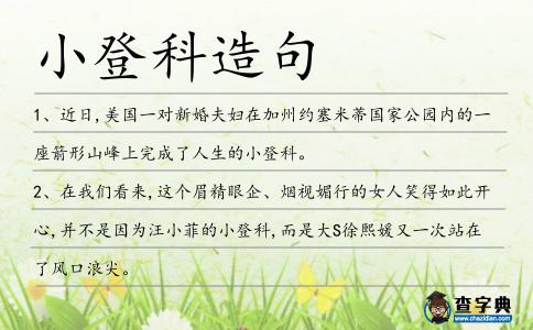 小登科造句