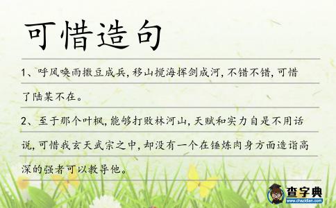 可惜造句