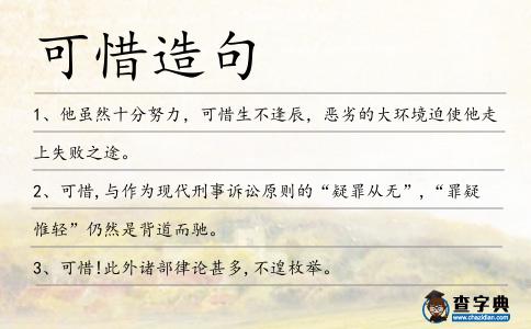 可惜造句