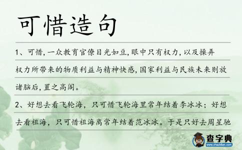 可惜造句