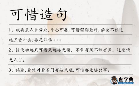 可惜造句
