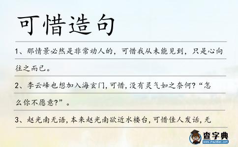 可惜造句