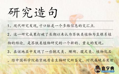 研究造句