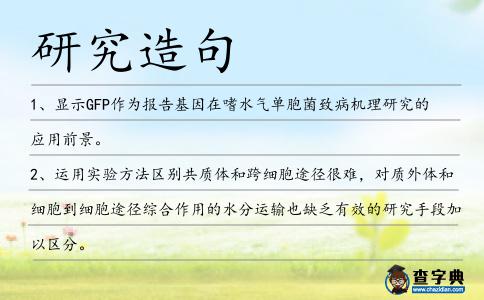 研究造句