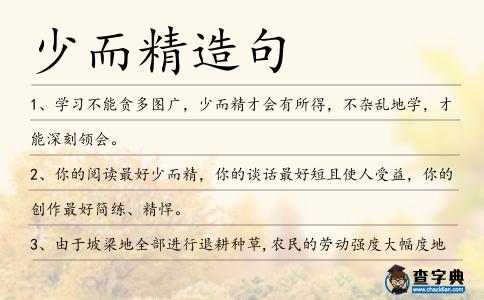 少而精造句