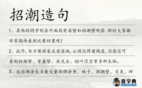 招潮造句