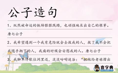 公子造句