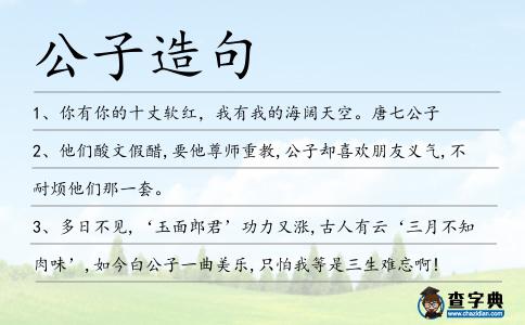 公子造句