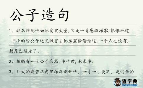 公子造句