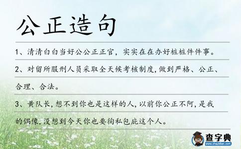 公正造句
