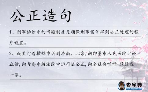 公正造句