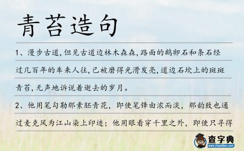 青苔造句