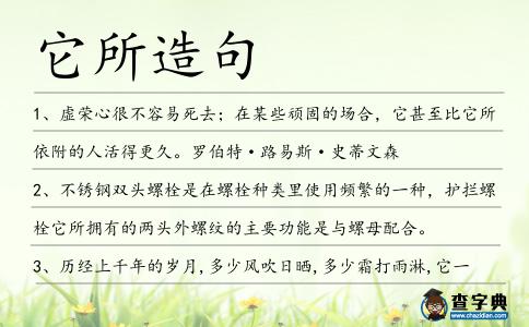 它所造句