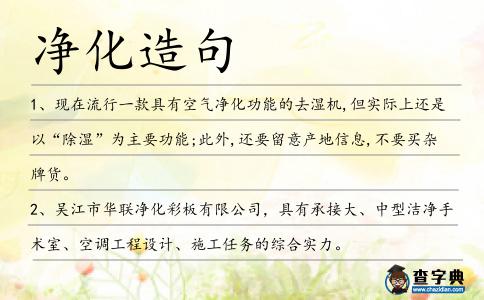 凈化造句
