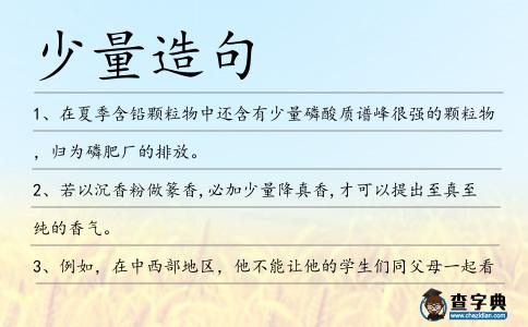少量造句