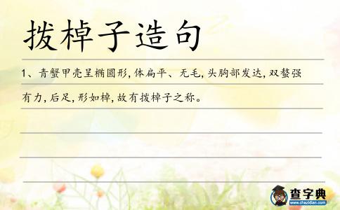 撥棹子造句