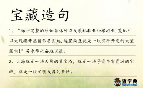 寶藏造句