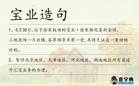 寶業造句
