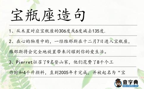 寶瓶座造句