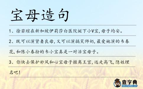 寶母造句