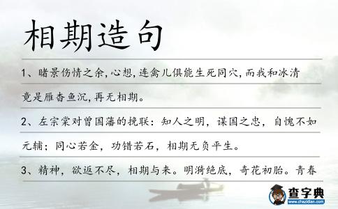 相期造句