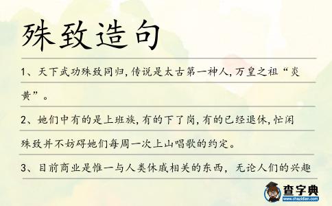 殊致造句