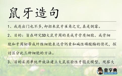 鼠牙造句