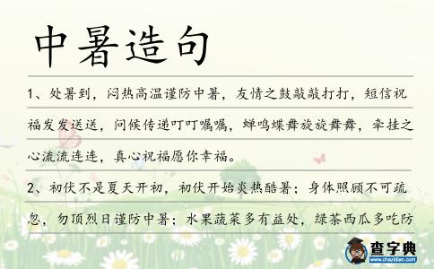 中暑造句