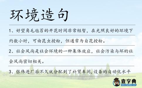 環境造句